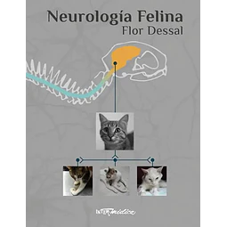 Neurología felina