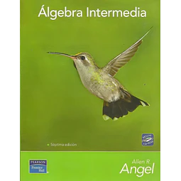 Álgebra Intermedia