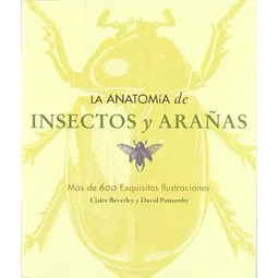 La Anatomia de Insectos y Arañas