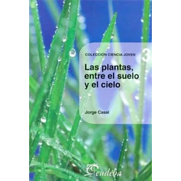 Las plantas, entre el suelo y el cielo