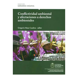 Conflictividad Ambiental y Afectaciones a Derechos Ambientales