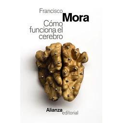 Cómo funciona el cerebro