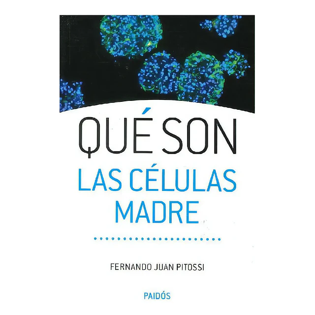 Qué son las células madre