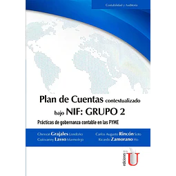 Plan de Cuentas contextualizado bajo NIF : Grupo 2