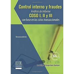Control interno y fraudes