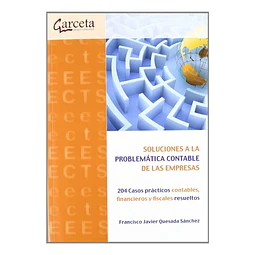 Soluciones a la Problemática Contable de las Empresas
