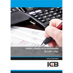 Análisis y Gestión de los Instrumentos de Cobro y Pago