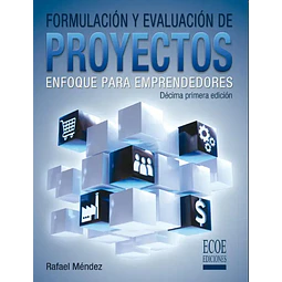 Formulación y evaluación de proyectos