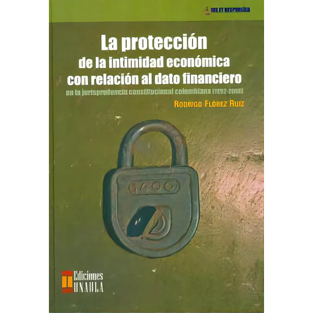 La protección de la intimidad económica con relacion al dato financiero