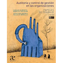 Auditoría y control de gestión en las organizaciones