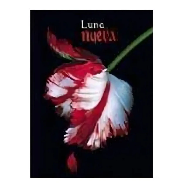 Luna Nueva