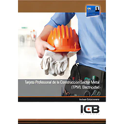 Tarjeta Profesional de la Construcción Sector Metal (TPM) Electricidad