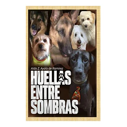 Huellas entre sombras