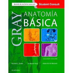 Gray Anatomía Básica