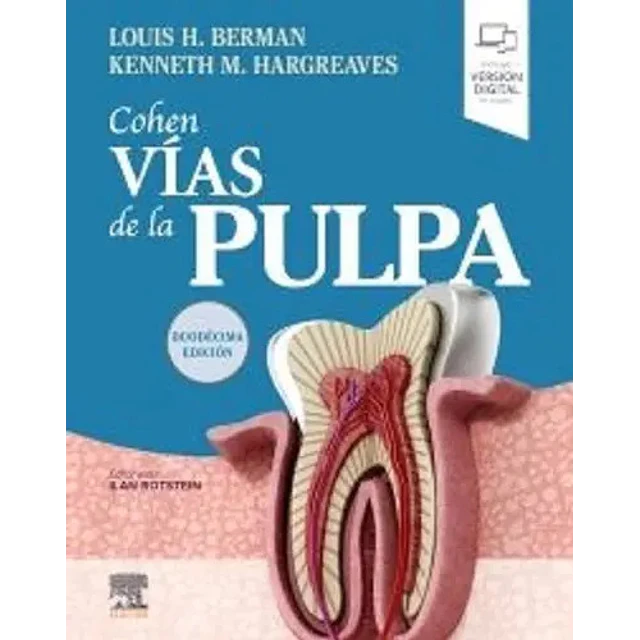 Cohen Vías de la pulpa