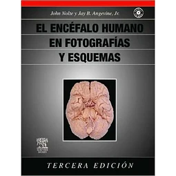 El Encefalo Humano en Fotografias y Esquemas