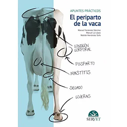 El periparto de la vaca. Apuntes prácticos