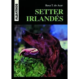 Setter Irlandes