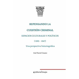 Repensando la cuestion criminal