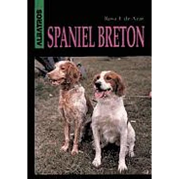 El Spaniel Breton