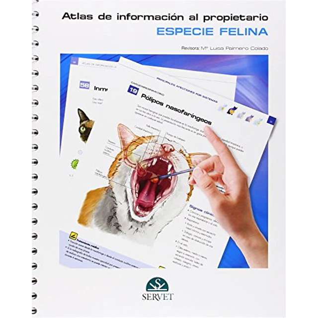 Atlas de información al propietario especie felina