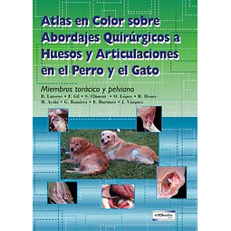 Atlas en Color sobre Abordajes Quirúrgicos a Huesos y Articulaciones en el Perro y el Gato