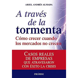 A traves de la tormenta