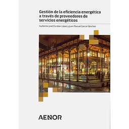 Gestión de la eficiencia energética a través de proveedores de servicios energéticos
