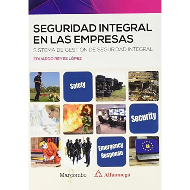 Seguridad integral en las empresas. Sistemas de gestión de seguridad integral