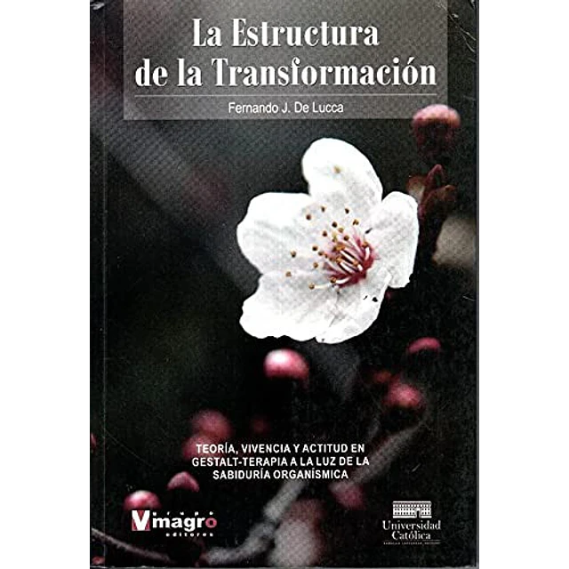 La estructura de la transformación