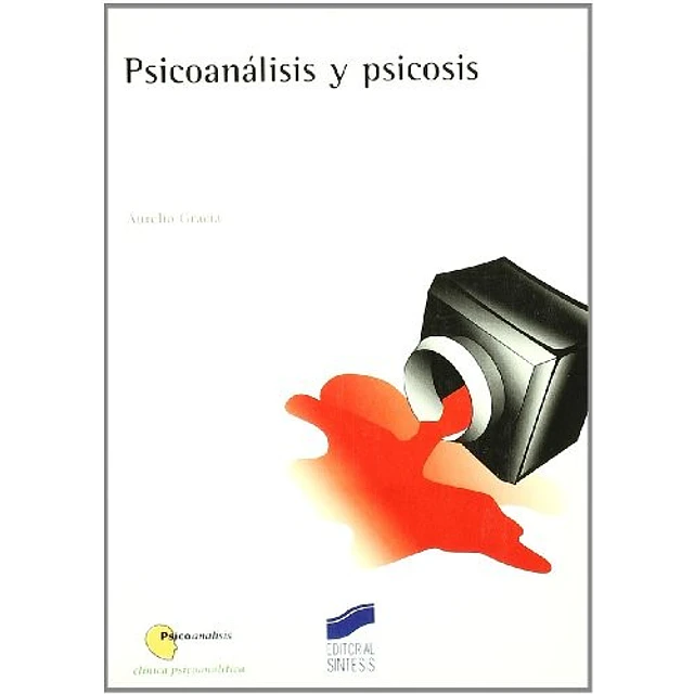 Psicoanálisis y Psicosis