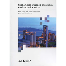 Gestión de la eficiencia energética en el sector industrial