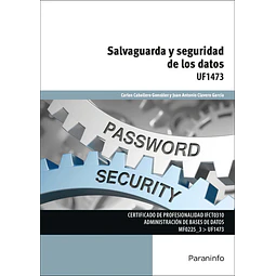 Salvaguarda y Seguridad de los Datos