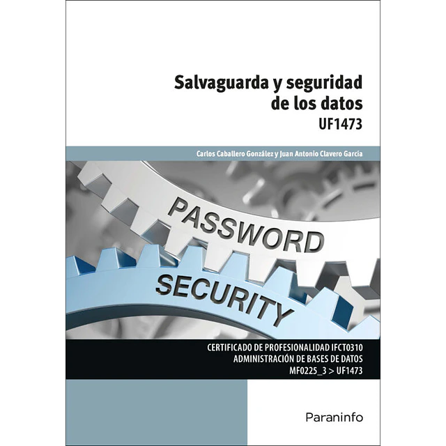Salvaguarda y Seguridad de los Datos