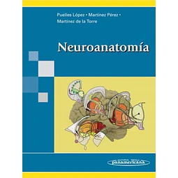 Neuroanatomía