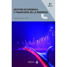 Gestión economica financiera de la empresa