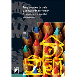 Programacion de aula  y adecuacion curricular