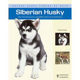 Siberian Husky