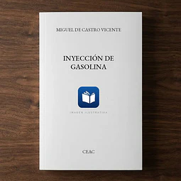 Inyección de gasolina