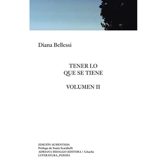Tener lo que se tiene. Vol II