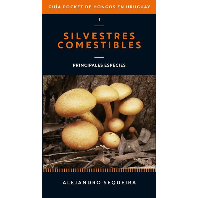 Guia pocket de hongos en uruguay. Volumen 1