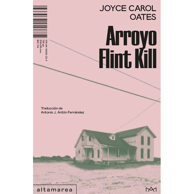 Arroyo flint kill