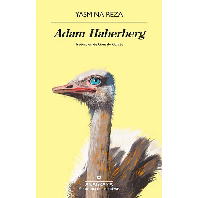 Adam haberberg