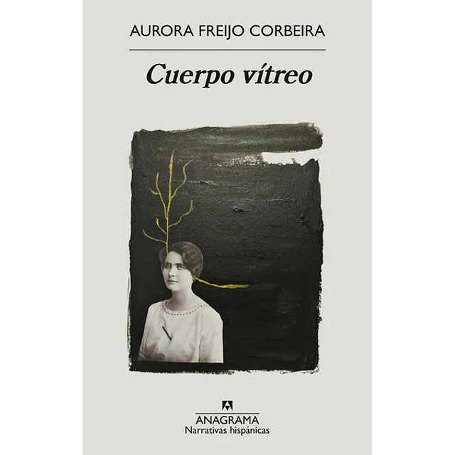 Cuerpo vitreo
