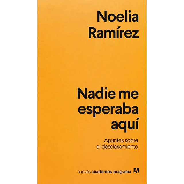 Nadie me esperaba aqui
