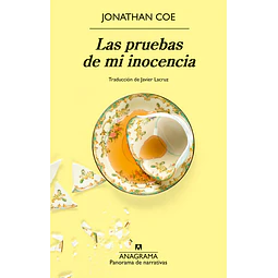 Pruebas de mi inocencia