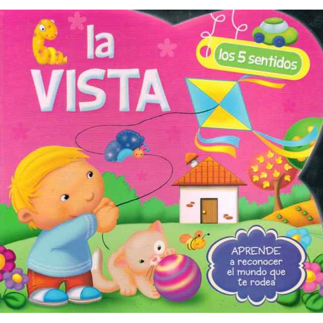 5 sentidos, los | la vista