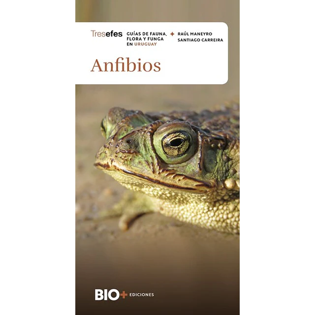 Anfibios