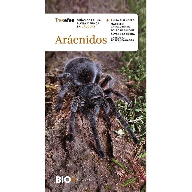 Aracnidos