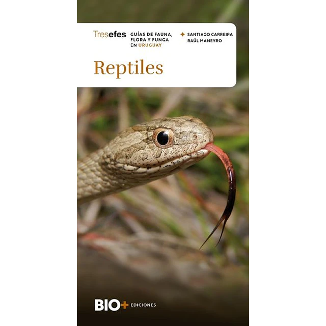 Reptiles